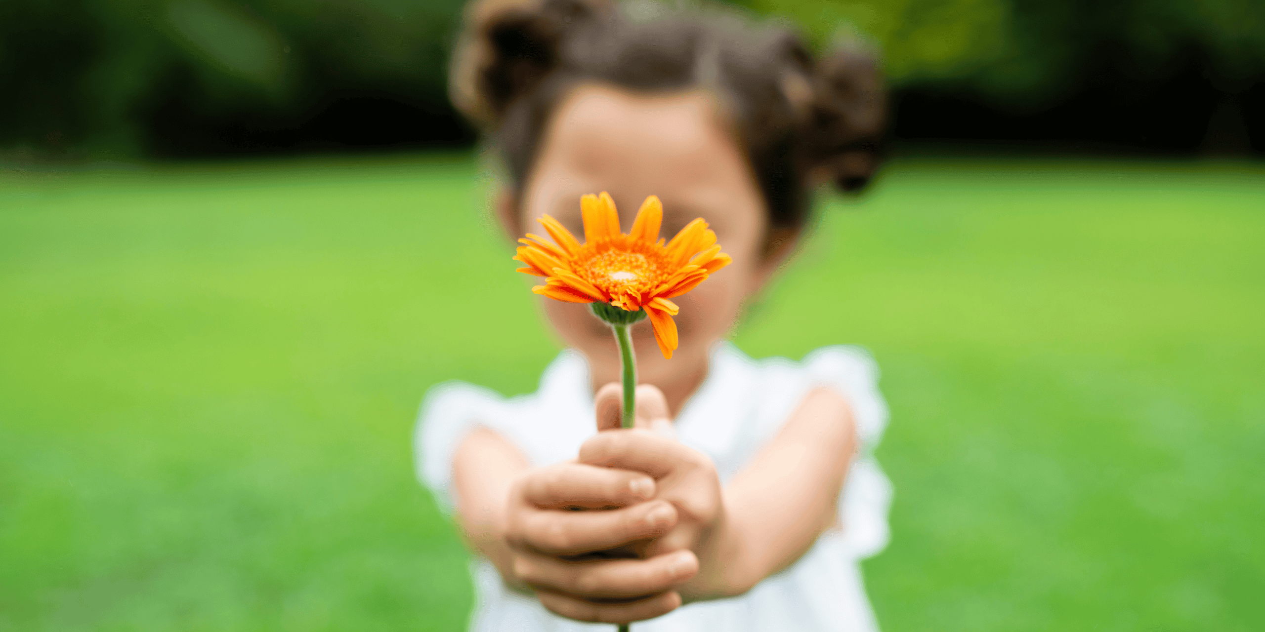 Pathways to Gratitude